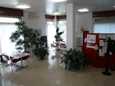 Centro Formativo di padova - Femminile